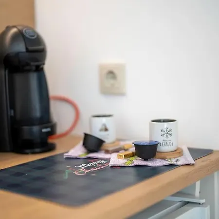 Bright Studio With Mountain View And Fireplace 반스코